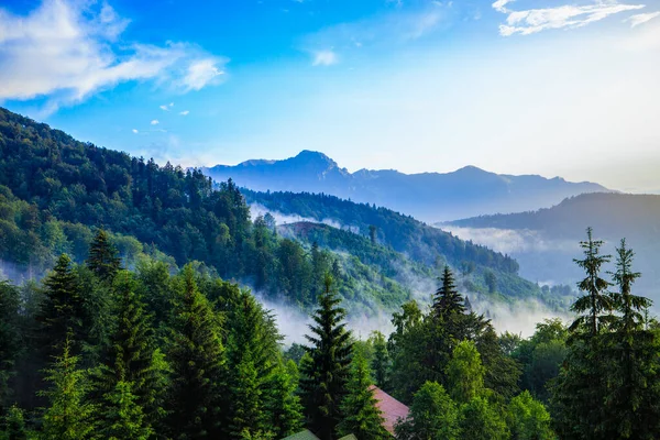 Bellissimo Paesaggio Con Pineta Montagna Nuvole — Foto Stock