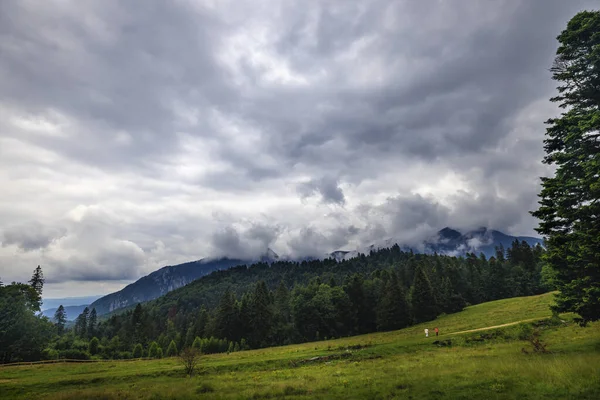 Krásná Krajina Borovým Lesem Horách Mracích — Stock fotografie