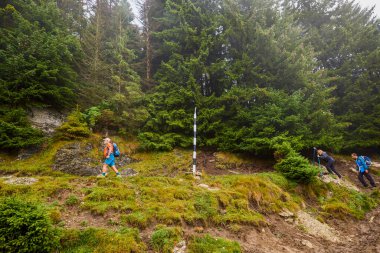 Bulutlu ve sisli bir günde büyükbabalarıyla dağlarda yürüyen bir çift..