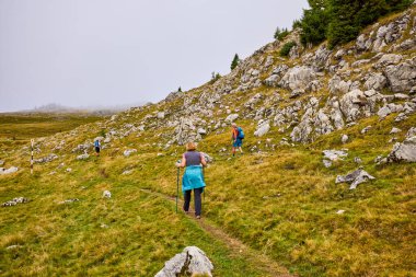 Bulutlu ve sisli bir günde büyükbabalarıyla dağlarda yürüyen bir çift..