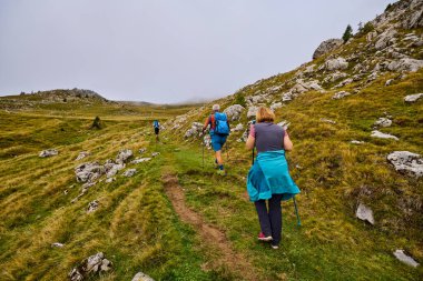 Bulutlu ve sisli bir günde büyükbabalarıyla dağlarda yürüyen bir çift..