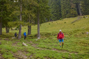 Bulutlu ve sisli bir günde büyükbabalarıyla dağlarda yürüyen bir çift..