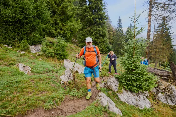 Bulutlu ve sisli bir günde büyükbabalarıyla dağlarda yürüyen bir çift..