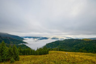 Romanya 'nın Bucegi Dağları' ndaki güzel bir dağ manzarası Eylül ayında bulutlar ve sis ile.
