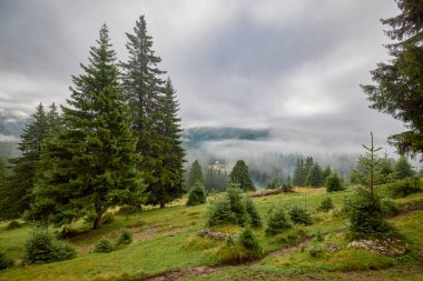 Romanya 'nın Bucegi Dağları' ndaki güzel bir dağ manzarası Eylül ayında bulutlar ve sis ile.