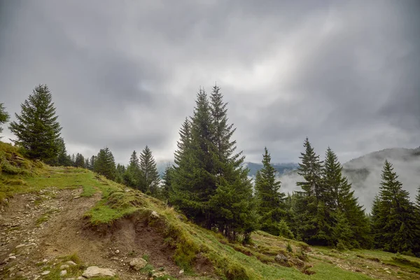 Romanya 'nın Bucegi Dağları' ndaki güzel bir dağ manzarası Eylül ayında bulutlar ve sis ile.