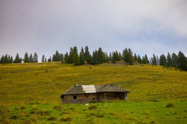 Romanya 'nın Bucegi Dağları' nda terk edilmiş ahşap ağılı dağ manzarası bulutlu bir Eylül gününde