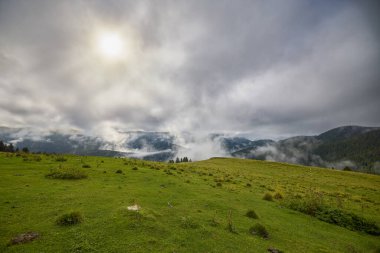 Romanya 'nın Bucegi Dağları' nda terk edilmiş ahşap ağılı dağ manzarası bulutlu bir Eylül gününde