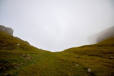 Yağmurda sisli kayalık bir dağ sırtı