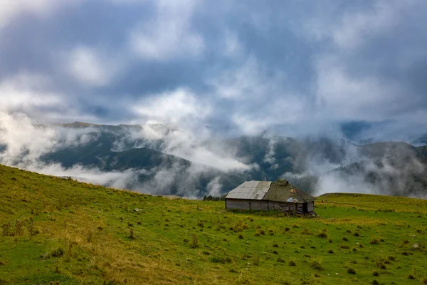 Romanya 'nın Bucegi Dağları' nda terk edilmiş ahşap ağılı dağ manzarası bulutlu bir Eylül gününde