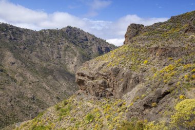 Gran Canaria, Mayıs, montains adanın Merkezi bölümünün