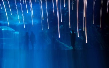 Akvaryum duvar soyut, içinde-fotoğraf makinesi hareket bulanıklığı 