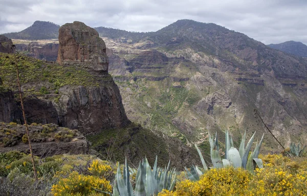 Gran Canaria Mayo Vista Hacia Formación Rocosa Roque Palmes —  Fotos de Stock