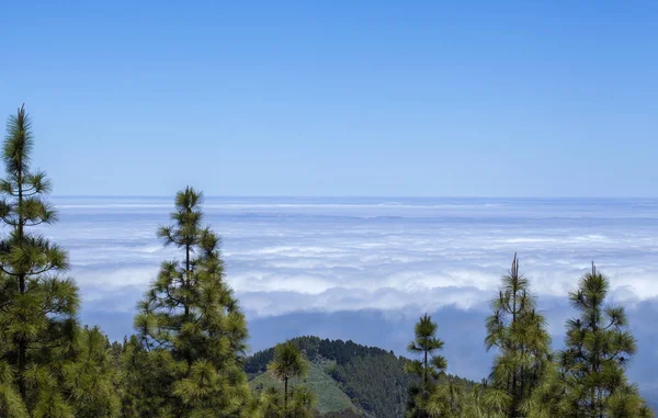 Gran Canaria Cloud Layer Panza Burro Belly Donkey Meteorological Phenomenon — Stock Photo, Image