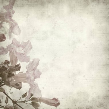 Eski Kağıt arka plan pembe trompet şarap ile dokulu 