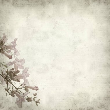 Eski Kağıt arka plan pembe trompet şarap ile dokulu 