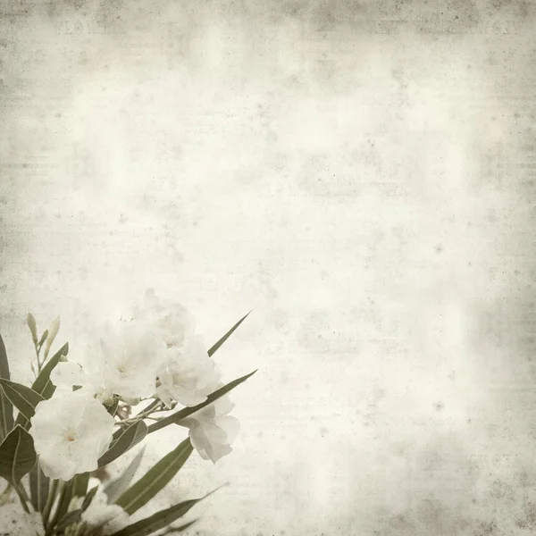 Texturierte Alte Papierhintergrund Mit Weißen Oleanderblüten — Stockfoto