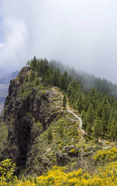 Gran Canaria Mai Wanderweg Cruz Tejeda Artenara Weg Bergauf Auf — Stockfoto