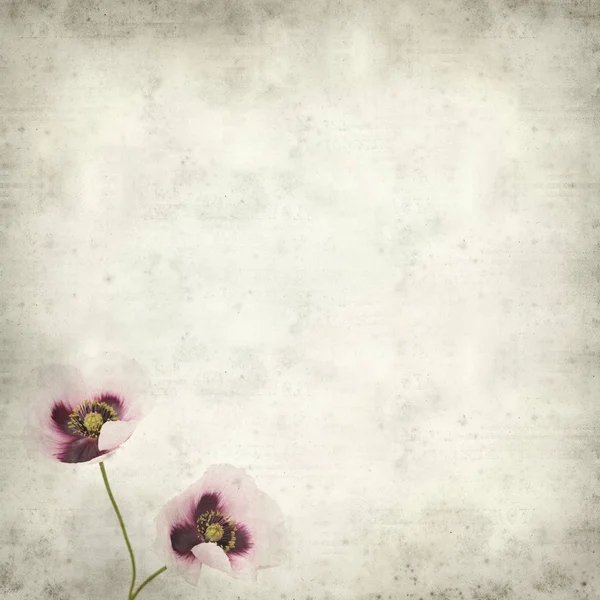 pembe haşhaş çiçek ile dokulu eski Kağıt arka plan 