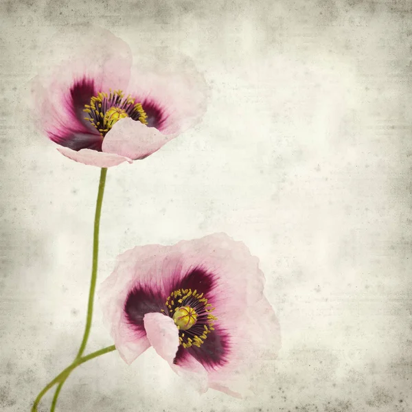 Teksturowanej Tło Stary Różowy Kwiat Maku — Zdjęcie stockowe