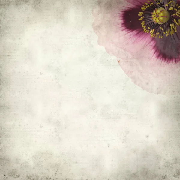 Pembe Haşhaş Çiçek Ile Dokulu Eski Kağıt Arka Plan — Stok fotoğraf