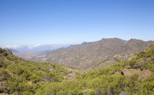 Gran Canaria Mei Wandelen Route Candelilla Marrubio Kijk Naar Beneden — Stockfoto