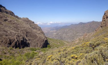 Gran Canaria, Mayıs, rota Candelilla - El Marrubio, hiking Barranco de la Soria Vadisi hor