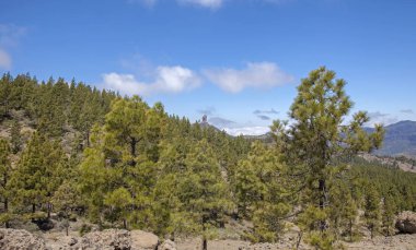 Gran Canaria, Simgesel Yapı kaya oluşumu Roque Nublo ağaç tepelerinin üzerinden karşı görüşü olabilir