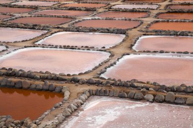 Gran Canaria, tuz buharlaşma gölet Salinas de Tenefe, adanın doğusunda Güney pembe renk yosun Dunaliella salina tarafından oluşturulmuş