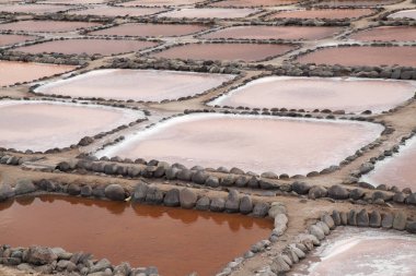 Gran Canaria, tuz buharlaşma gölet Salinas de Tenefe, adanın doğusunda Güney pembe renk yosun Dunaliella salina tarafından oluşturulmuş