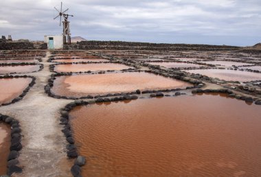 Gran Canaria, tuz buharlaşma gölet Salinas de Tenefe, adanın doğusunda Güney pembe renk yosun Dunaliella salina tarafından oluşturulmuş