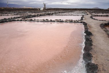 Gran Canaria, tuz buharlaşma gölet Salinas de Tenefe, adanın doğusunda Güney pembe renk yosun Dunaliella salina tarafından oluşturulmuş