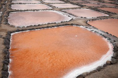 Gran Canaria, tuz buharlaşma gölet Salinas de Tenefe, adanın doğusunda Güney pembe renk yosun Dunaliella salina tarafından oluşturulmuş