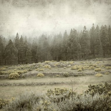 Gran Canaria peyzaj sisli bir günde ile dokulu eski Kağıt arka plan 