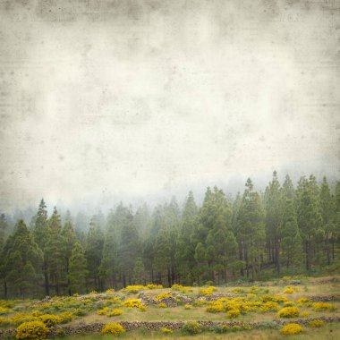 Gran Canaria peyzaj sisli bir günde ile dokulu eski Kağıt arka plan 