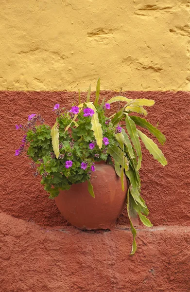 flowerpot with geranium and cactus on a small ledge