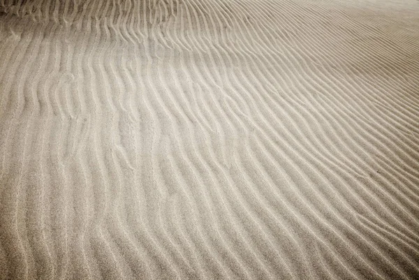 Песок Ветра Поверхности Дюн Шаблон Состоит Двух Типов Песчинок Темных — стоковое фото
