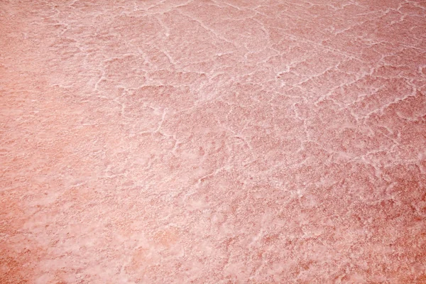 Гран Канария Заливные Пруды Салинас Тфефе Юго Восток Острова Розовый — стоковое фото