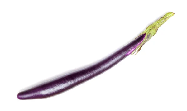 Eggplant Long Cultivar Asia Isolated White — Stock Photo, Image