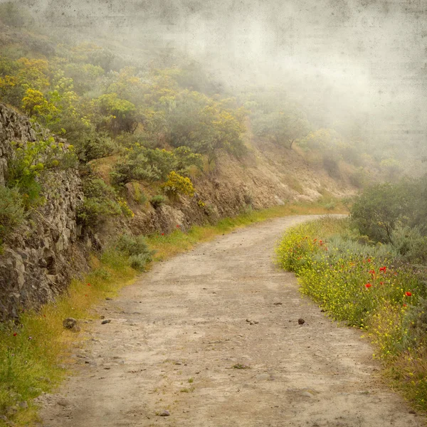 霧の日にグラン カナリア島の風景と古い用紙の背景のテクスチャ — ストック写真