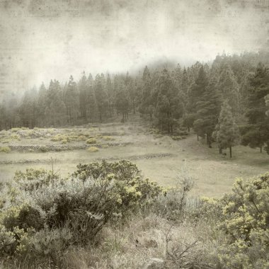 Gran Canaria peyzaj sisli bir günde ile dokulu eski Kağıt arka plan 