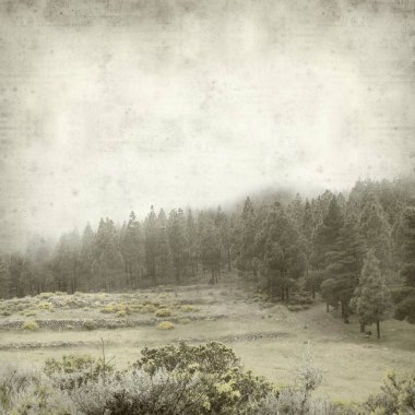 Gran Canaria peyzaj sisli bir günde ile dokulu eski Kağıt arka plan 