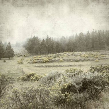 Gran Canaria peyzaj sisli bir günde ile dokulu eski Kağıt arka plan 