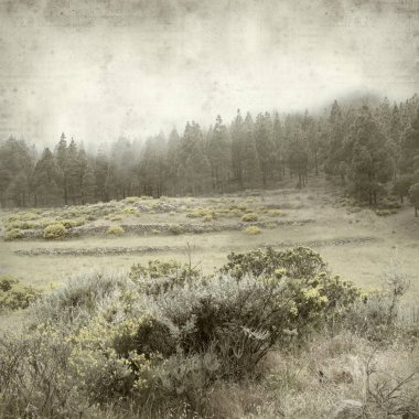 Gran Canaria peyzaj sisli bir günde ile dokulu eski Kağıt arka plan 