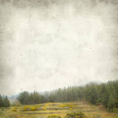 Gran Canaria peyzaj sisli bir günde ile dokulu eski Kağıt arka plan 