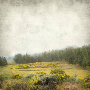 Gran Canaria peyzaj sisli bir günde ile dokulu eski Kağıt arka plan 