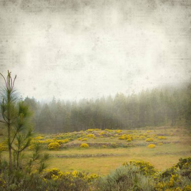 Gran Canaria peyzaj sisli bir günde ile dokulu eski Kağıt arka plan 