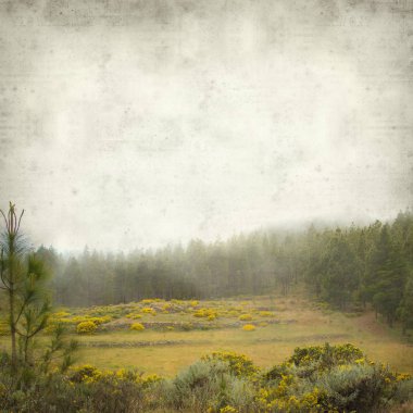 Gran Canaria peyzaj sisli bir günde ile dokulu eski Kağıt arka plan 
