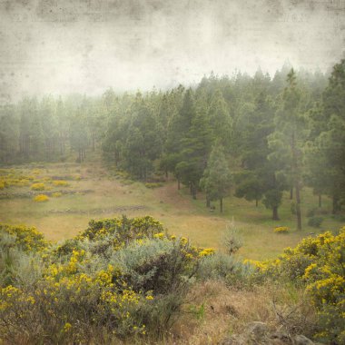 Gran Canaria peyzaj sisli bir günde ile dokulu eski Kağıt arka plan 