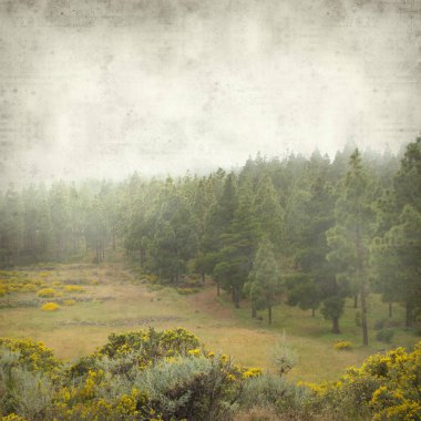 Gran Canaria peyzaj sisli bir günde ile dokulu eski Kağıt arka plan 